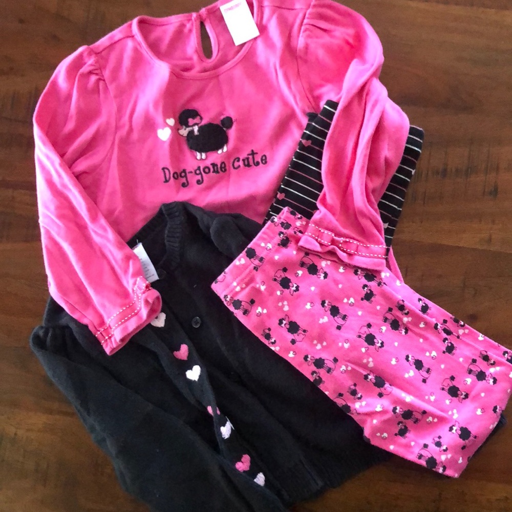 Gymboree set 3t